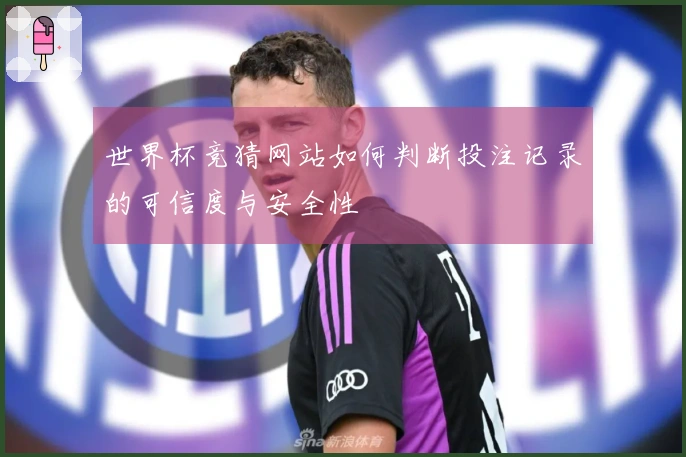 世界杯竞猜网站如何判断投注记录的可信度与安全性
