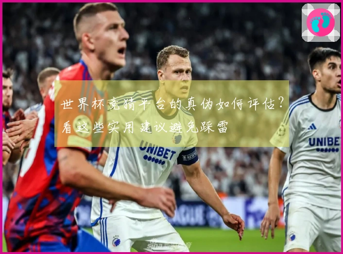 世界杯竞猜平台的真伪如何评估？看这些实用建议避免踩雷