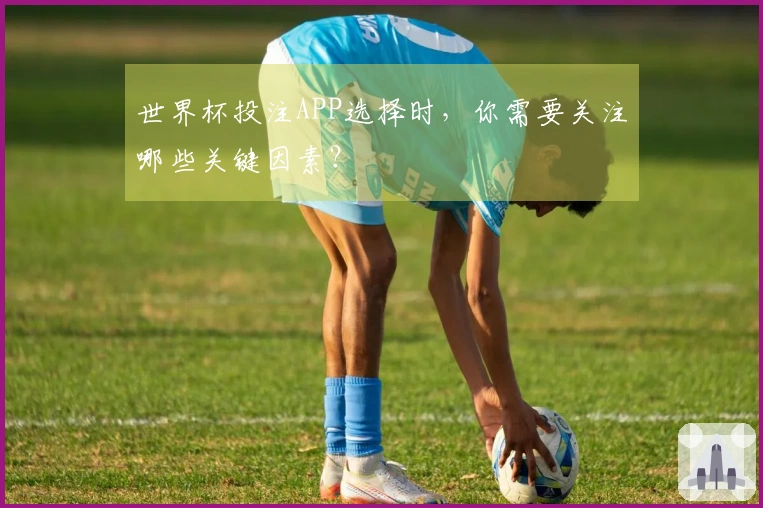 世界杯投注APP选择时，你需要关注哪些关键因素？