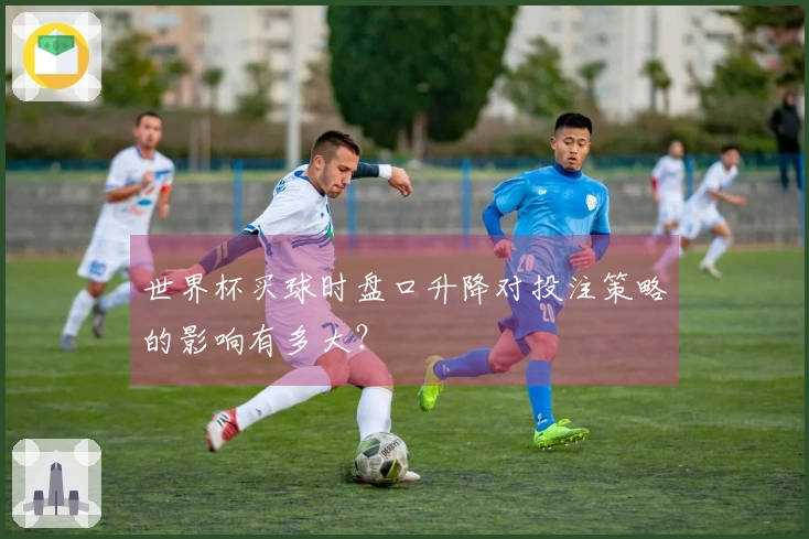 世界杯买球时盘口升降对投注策略的影响有多大？