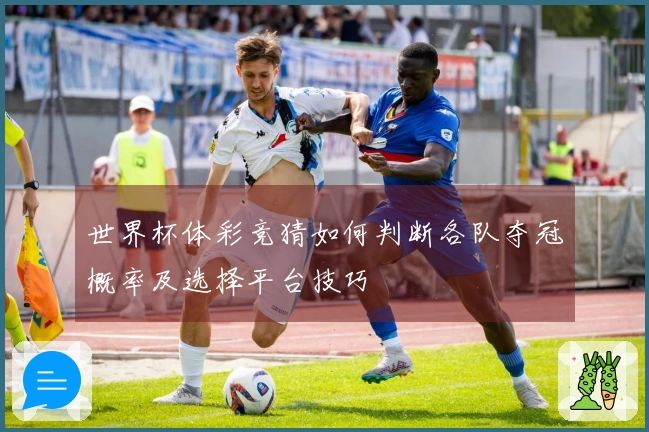世界杯体彩竞猜如何判断各队夺冠概率及选择平台技巧