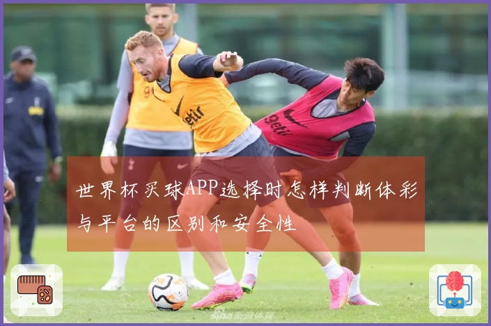 世界杯买球APP选择时怎样判断体彩与平台的区别和安全性