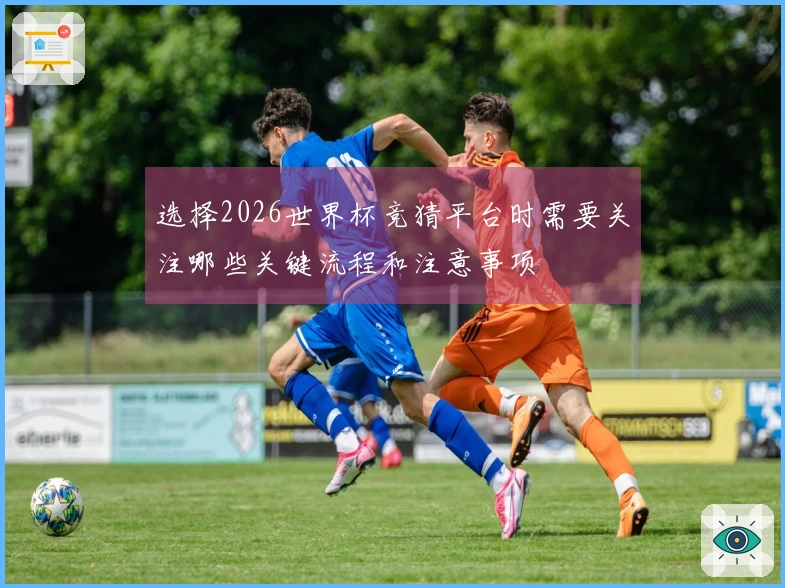 选择2026世界杯竞猜平台时需要关注哪些关键流程和注意事项