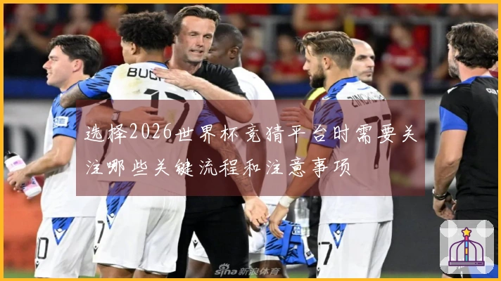 选择2026世界杯竞猜平台时需要关注哪些关键流程和注意事项