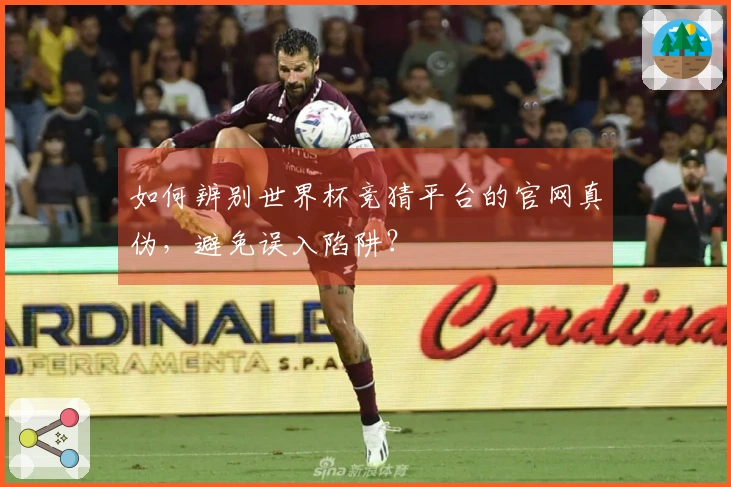 如何辨别世界杯竞猜平台的官网真伪，避免误入陷阱？