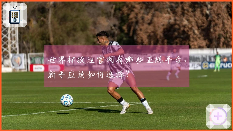 世界杯投注官网有哪些正规平台，新手应该如何选择？