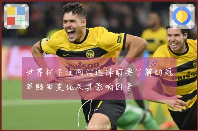 世界杯下注网站选择前要了解的冠军赔率变化及其影响因素