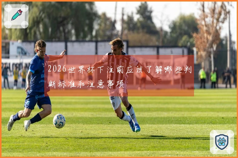 2026世界杯下注前应该了解哪些判断标准和注意事项