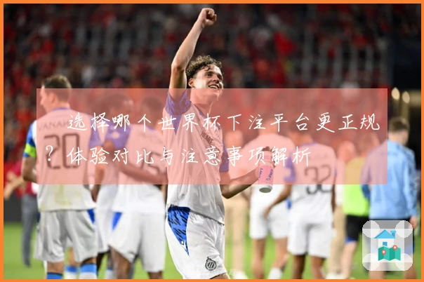 选择哪个世界杯下注平台更正规？体验对比与注意事项解析