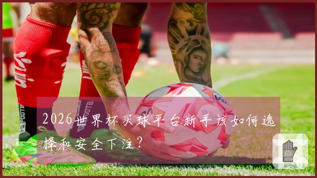 2026世界杯买球平台新手该如何选择和安全下注?