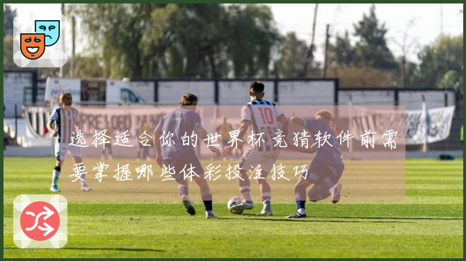 选择适合你的世界杯竞猜软件前需要掌握哪些体彩投注技巧