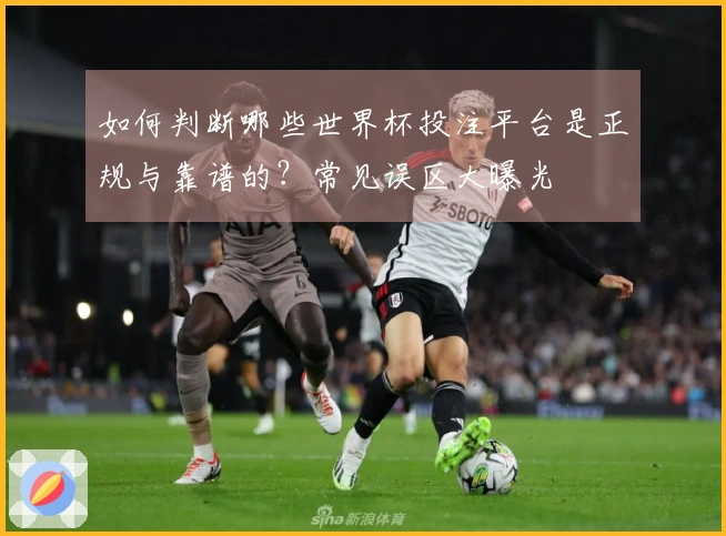 如何判断哪些世界杯投注平台是正规与靠谱的？常见误区大曝光