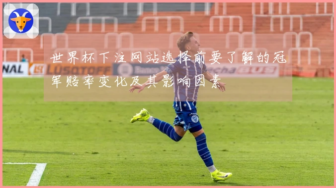 世界杯下注网站选择前要了解的冠军赔率变化及其影响因素