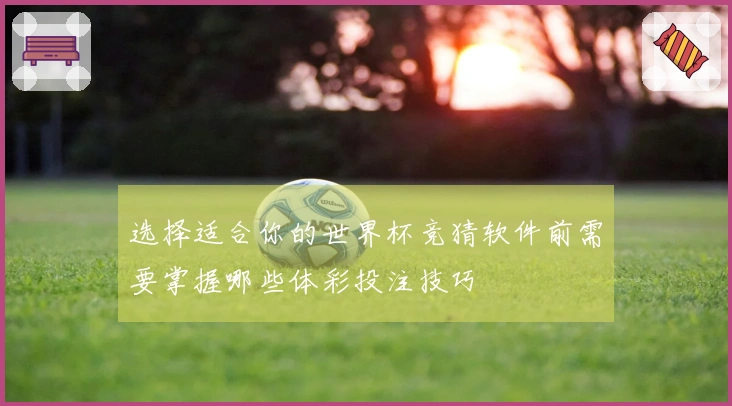 选择适合你的世界杯竞猜软件前需要掌握哪些体彩投注技巧