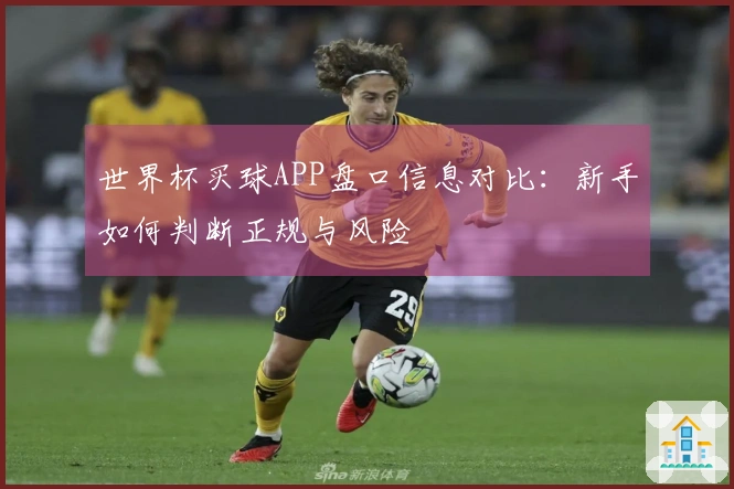 世界杯买球APP盘口信息对比：新手如何判断正规与风险