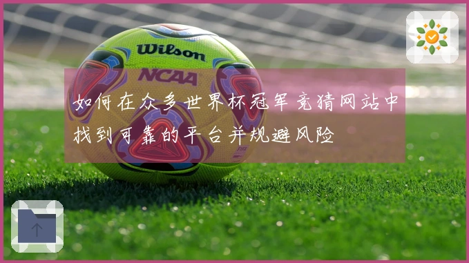 如何在众多世界杯冠军竞猜网站中找到可靠的平台并规避风险