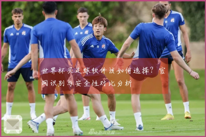 世界杯买足球软件该如何选择？官网识别与安全性对比分析