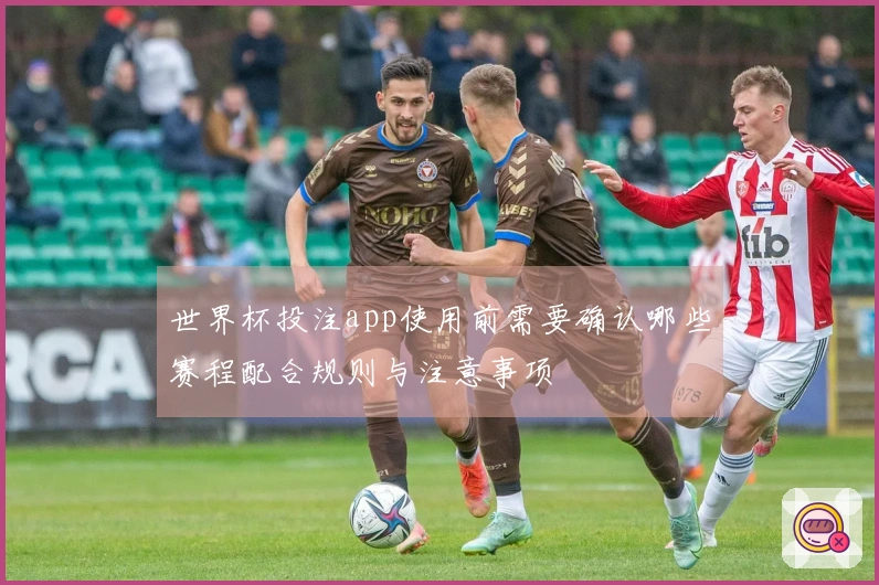 世界杯投注app使用前需要确认哪些赛程配合规则与注意事项