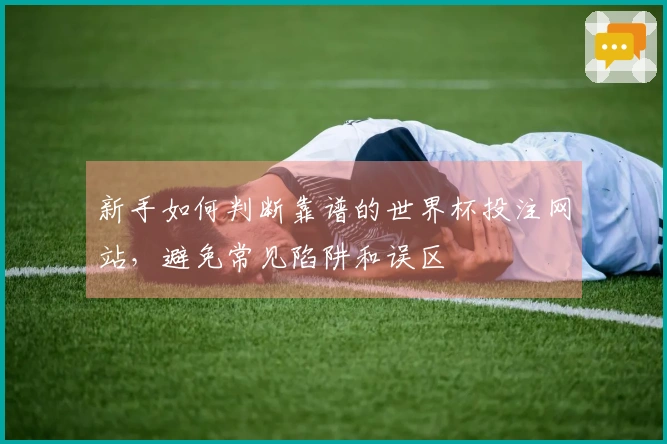 新手如何判断靠谱的世界杯投注网站,避免常见陷阱和误区