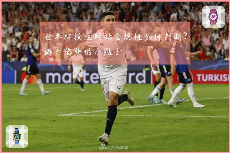 世界杯投注网站合规性如何判断？避开陷阱的小贴士