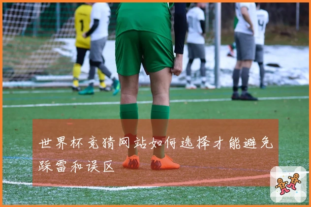 世界杯竞猜网站如何选择才能避免踩雷和误区