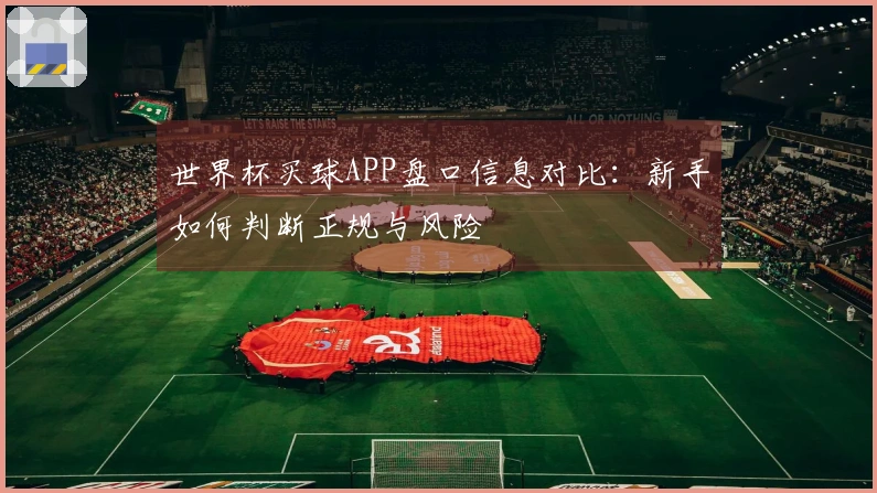 世界杯买球APP盘口信息对比：新手如何判断正规与风险