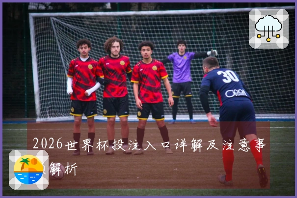 2026世界杯投注入口详解及注意事项解析