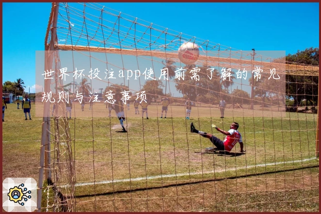 世界杯投注app使用前需了解的常见规则与注意事项