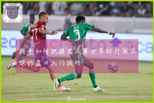 新手如何把握淘汰赛世界杯外围买球的盘口入门技巧