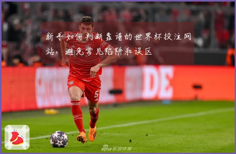 新手如何判断靠谱的世界杯投注网站，避免常见陷阱和误区